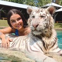 rio_lilly
