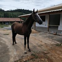 marcelo.m.lima