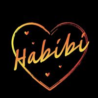 habibigt502