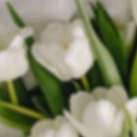 оригінальний звук