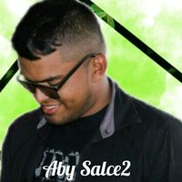 aby_salce2