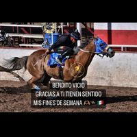 caxstillo3
