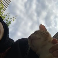 inahmed41