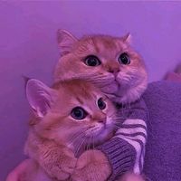 animalss1.fpp