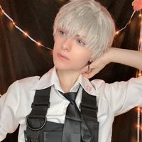 leosattic