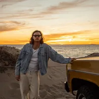 vibey birds of a feather