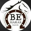 haras_boa_esperanca