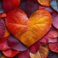 autumnenvy912