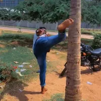 original sound - gnral.cocotier