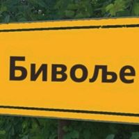bivoljecity1