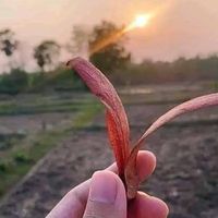 เสียงต้นฉบับ - "คนรักเสียงเพลง..✍️