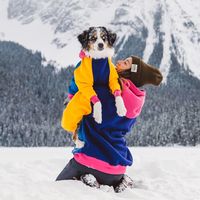 Justbeingfarley MAGIC SHOES dogs in booties