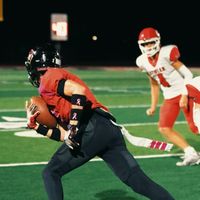 d1_taylor0