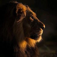 Un Mensaje De Dios Para Tu Vida