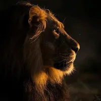 original sound - eugenio_torrezof