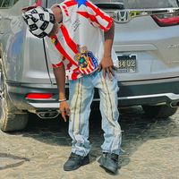 alaye294