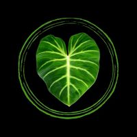 britneyleighwilliams