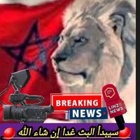 tayeb_chanel_tek.pro1