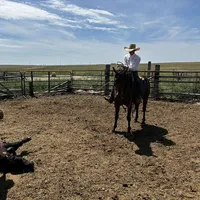 original sound - daniel_taylor2004