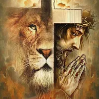 original sound - tiagoguidolin