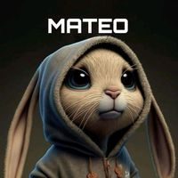 mateo_1414_25