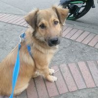 max._2202
