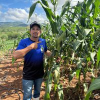 diogo_do_milho_verde