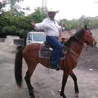 rigobertoantonioa8
