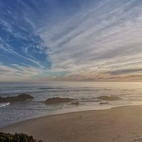 stemindiebos365