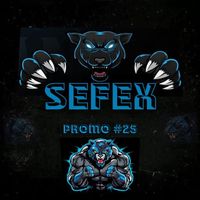sefex_25