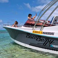 blueberry_boat_trips