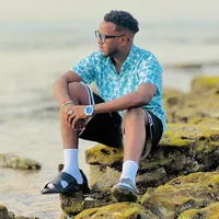 original sound - bazhka79