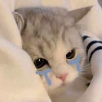 suara asli - 💎💭★j̶i̶h̶a̶n̶★💭💎