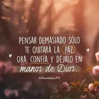 original sound - pollo_2025