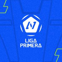 sonido original - Liga Primera
