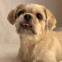 nachitodejohuellasdeamor