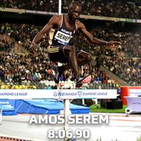 amosseremchamp3000mstchs