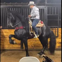 original sound - chekogalvez