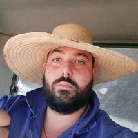paulbrazil6