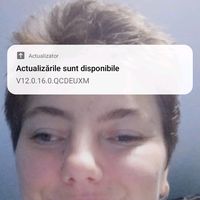 andreeatrandafir845