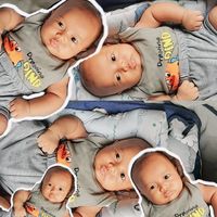 suara asli - SNC.ID