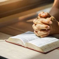 original sound - nossolouvor