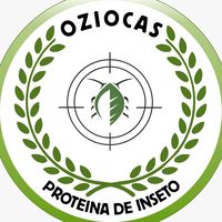 oziocas