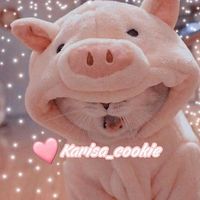 karisa_cookie