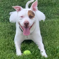 original sound - caspereltroquero