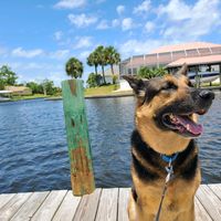 daryldadog