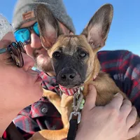 original sound - schmools