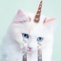 you love me by kimya dawson