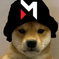 Кондиции Литвин