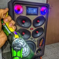 resindencial_tiger_audio